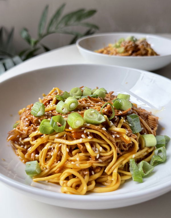 Slow Cooker Honey & Garlic Chicken Noodles