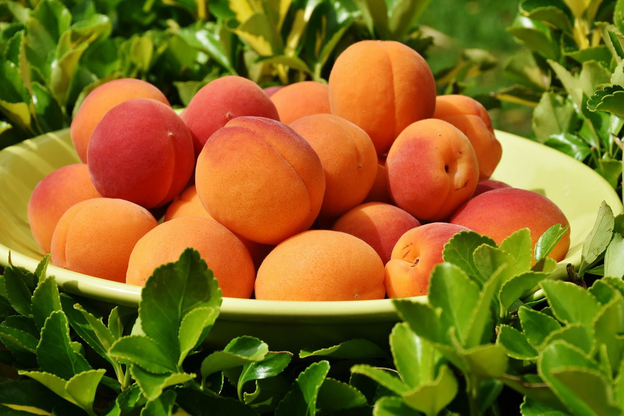 food image