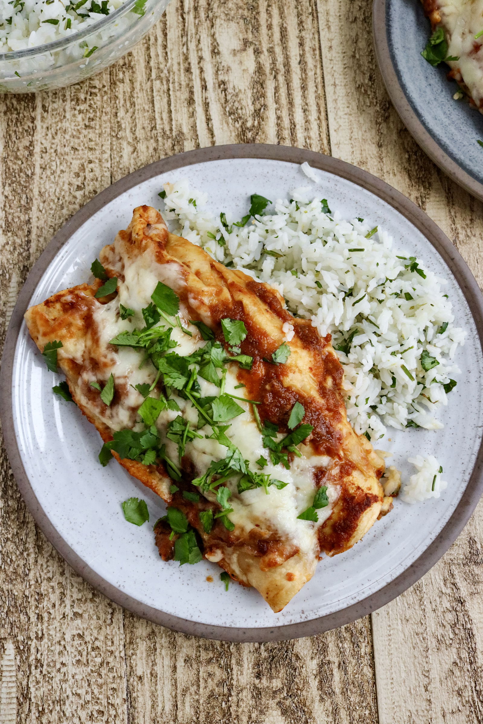 Birria Enchiladas with Cilantro Lime Rice