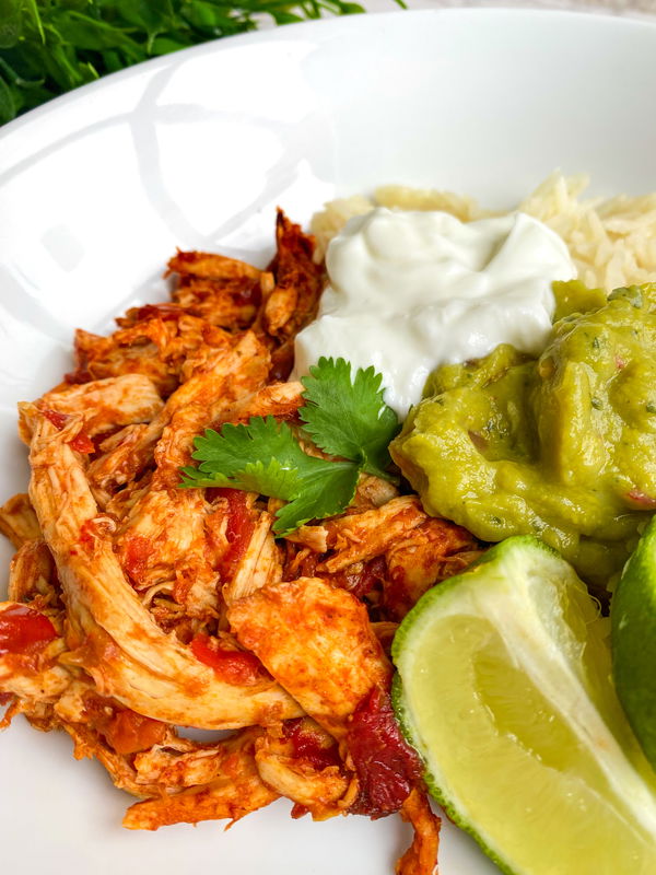 3 Ingredient Pulled Salsa Chicken