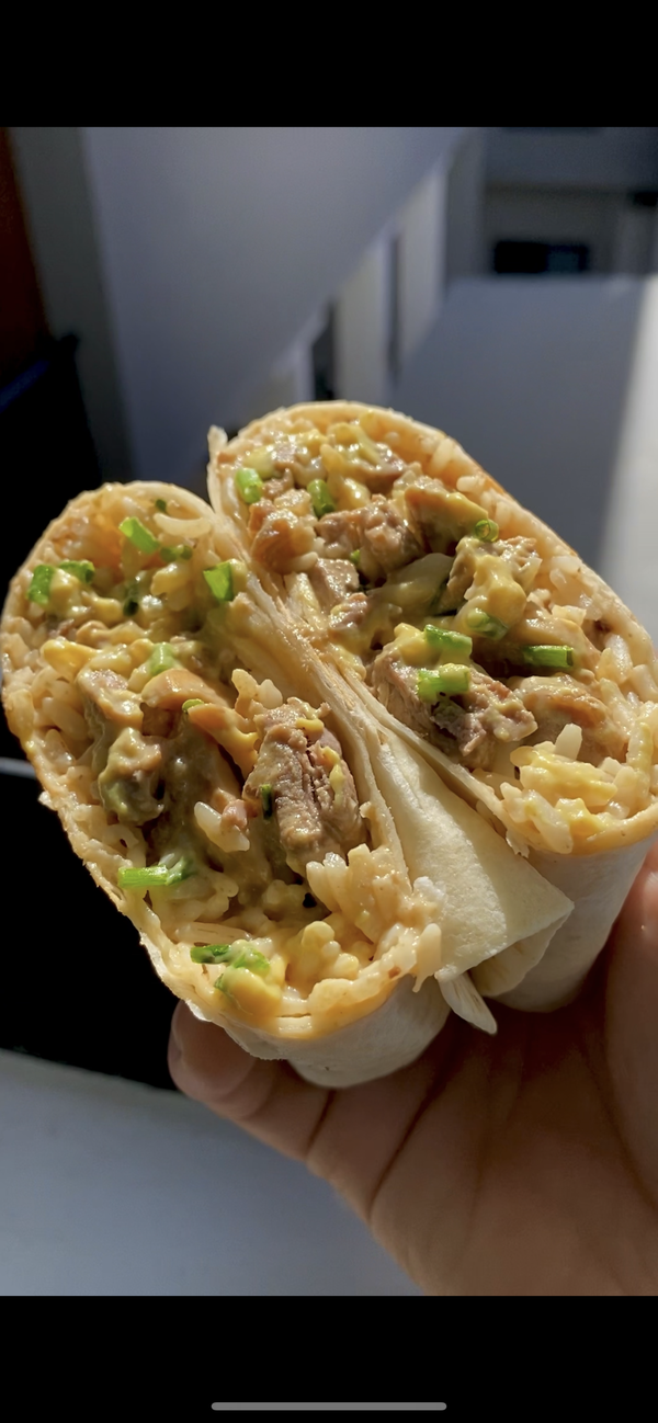 Stroganoff Beef Burrito