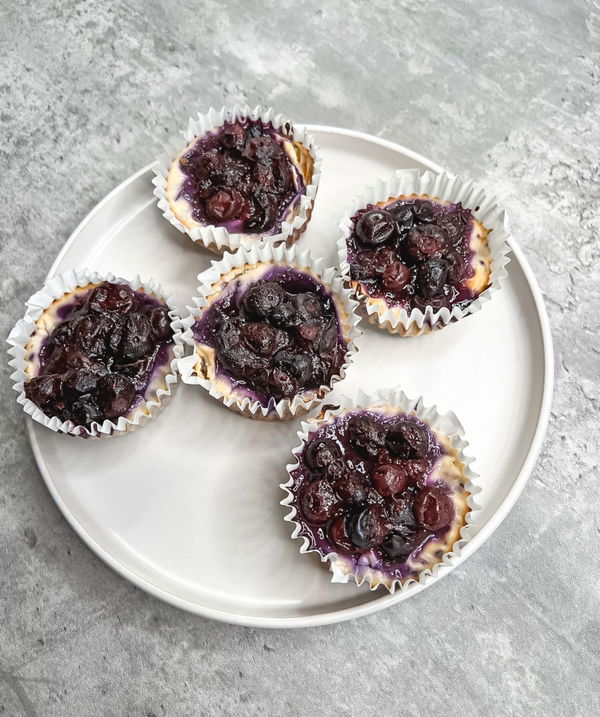 High Protein Blueberry Cheesecake Bites