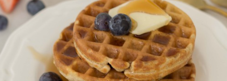 Protein Waffles